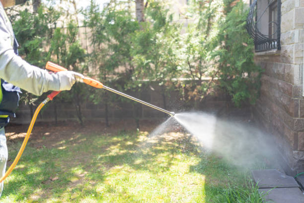 Pest Control Cost in University Place, WA