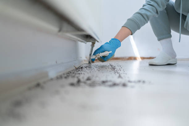 Pest Prevention Services in University Place, WA